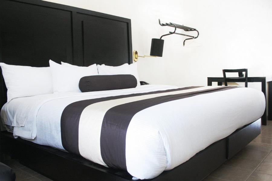Hotel El Camino Inn & Suites Reynosa Eksteriør billede